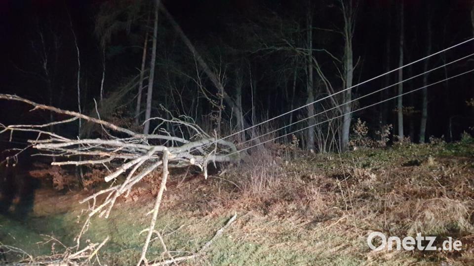 Bei Oberviechtach stürzte ein Baum auf eine Stromleitung. Bild: Andreas Brandstätter (Feuerwehr Teunz)