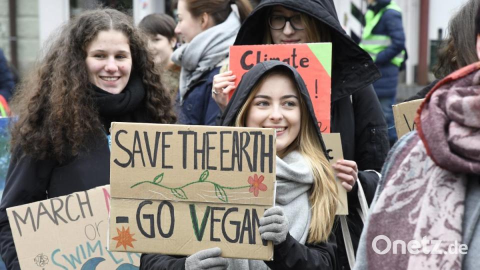 Schülerdemo &quot;Fridays for Future&quot; in Weiden vor dem Alten Rathaus Bild: Petra Hartl