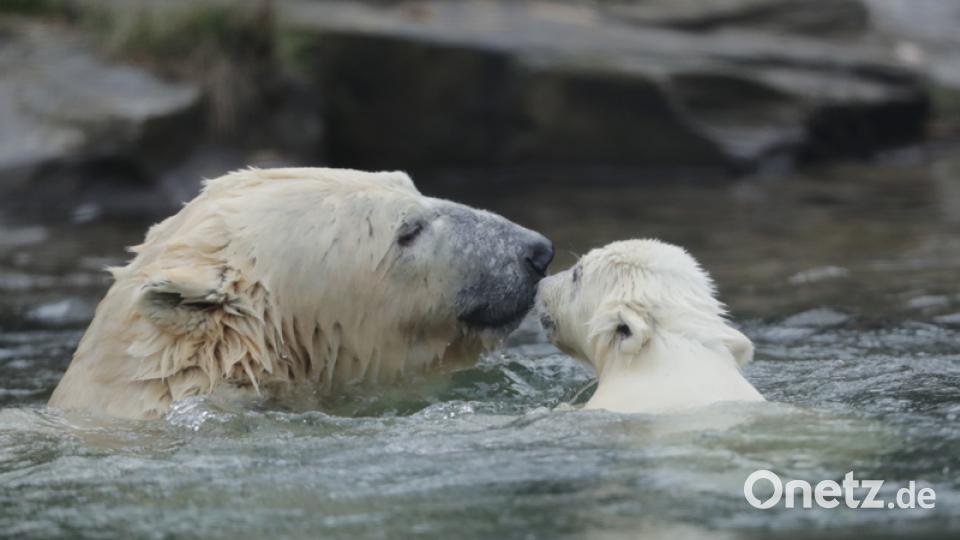 Mama Tonja und Tochter beim Schwimmen. Bild: Kay Nietfeld/dpa
