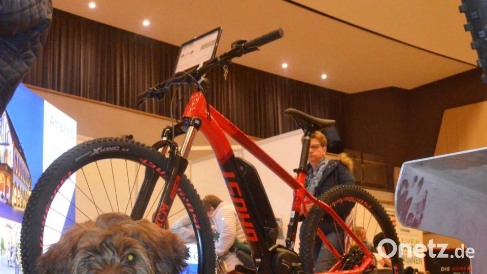 Wer wird denn bei diesem sportlichen Angebot auf der faulen Haut liegen? Bild: Kunz