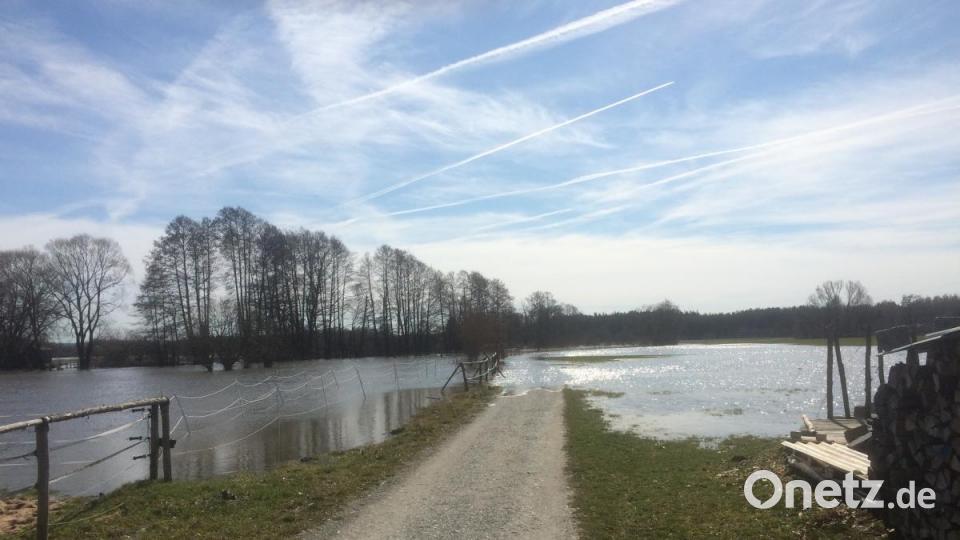 Auch der Wander- und Radweg, der entlang der Haidenaab nach Weiherhammer führt, ist nach wenigen Metern im Wasser verschwunden. Bild: sei