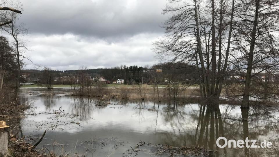 Über die Ufer getreten ist die Haidenaab auch in Höhe des neuen Baugebiets in Etzenricht mit Blick Richtung Sperlhammerstraße. Bild: ps
