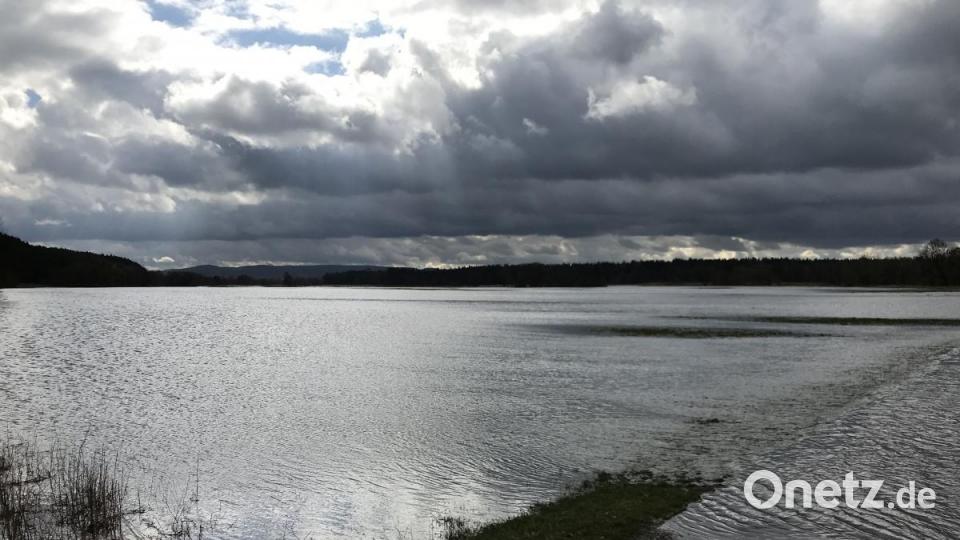 Der Feldweg nahe dem Etzenrichter Tennisheim endet unter (Haidenaab-)Wasser, in Richtung Sperlhammer breitet sich eine riesige Wasserfläche aus. Bild: ps