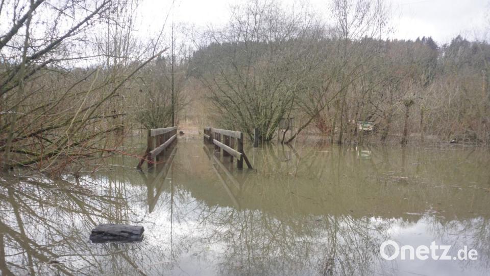 Auch das Biotop in Ensdorf nahe der Vils steht unter Wasser. Bild: jut