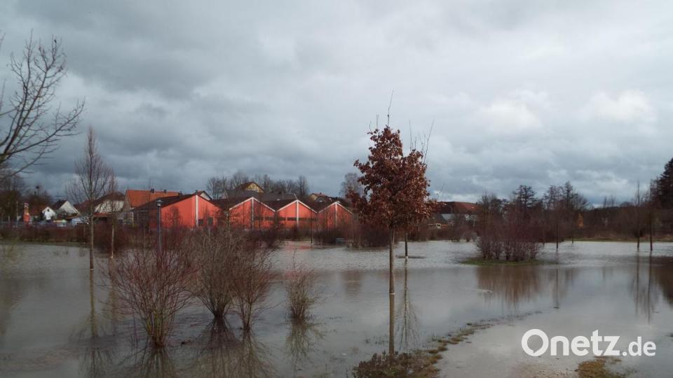 Überflutete Flussaue in Haselmühl. Bild: e