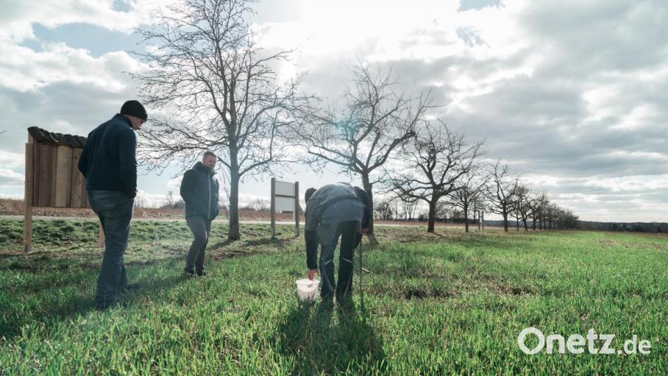 Praktische Prüfung I: Ein Teilnehmer nimmt eine Bodenprobe. Bild: gld