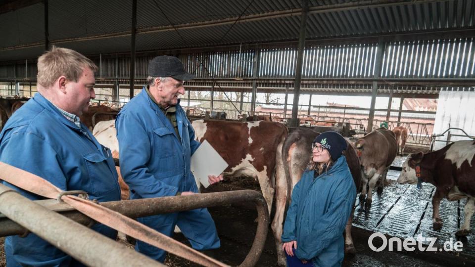 Praktische Prüfung III: Im Kuhstall des Agrarzentrums Almesbach wird eine Schülerin zum Thema Tierwohl ausgefragt. Bild: gld