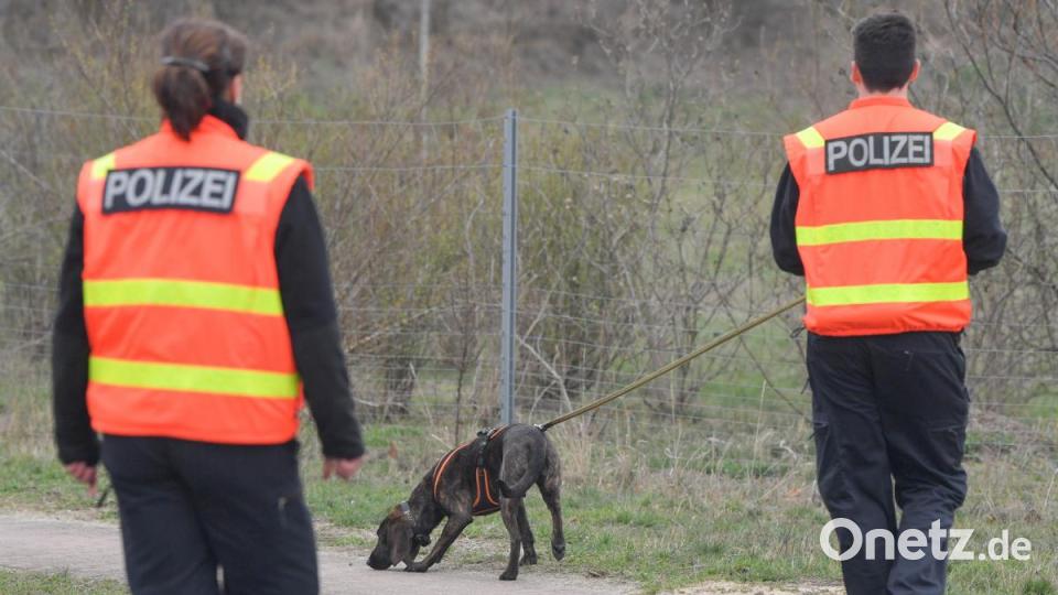 Ein Polizeihund wird zur Suche an der Abfahrt der Autobahn 12 in Fürstenwalde im Landkreis Oder-Spree eingesetzt. Bild: Patrick Pleul