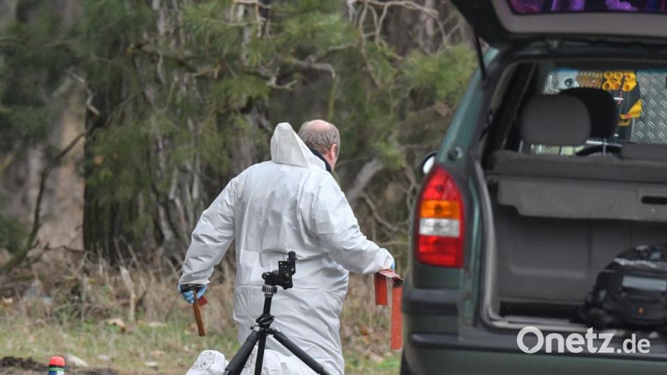 Vergebliche Suche: Ein Kriminaltechniker sichert Spuren in einem Waldgebiet im Landkreis Oder-Spree. Bild: Patrick Pleul