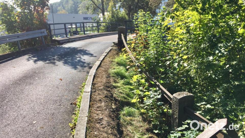 Nach der Bergung des steckengebliebenen Lastwagens ist der Verbindungsweg zu den Kleingärten im Stadtteil Luitpoldhöhe gesperrt. Bild: upl