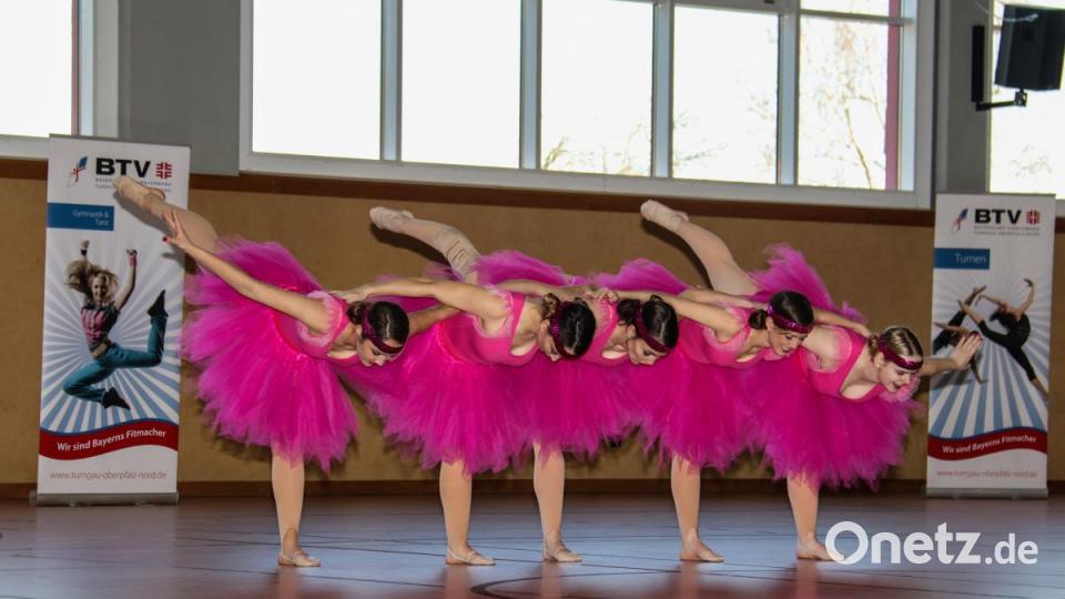 Beim Tanzwettbewerb &quot;Showtime&quot; in der Schulsporthalle Erbendorf traten am Samstag 29 Tanzgruppen an. Bild: rw