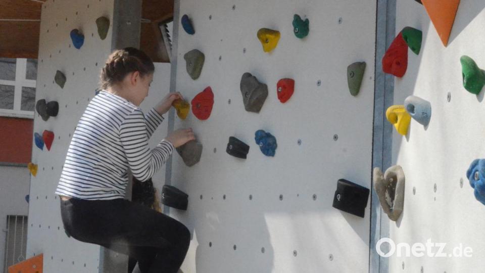 Mit gymnasialer Bildung hoch hinaus. Bild: Kunz