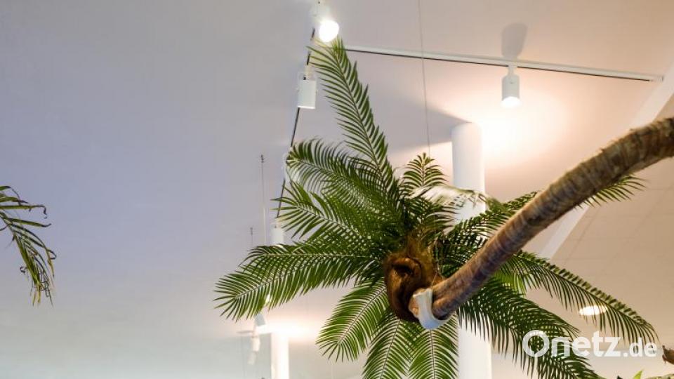 Blick in das "Siebenquell". Bild: Siebenquell