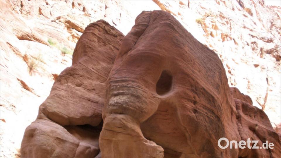Der Elefant aus Stein Bild: rgr