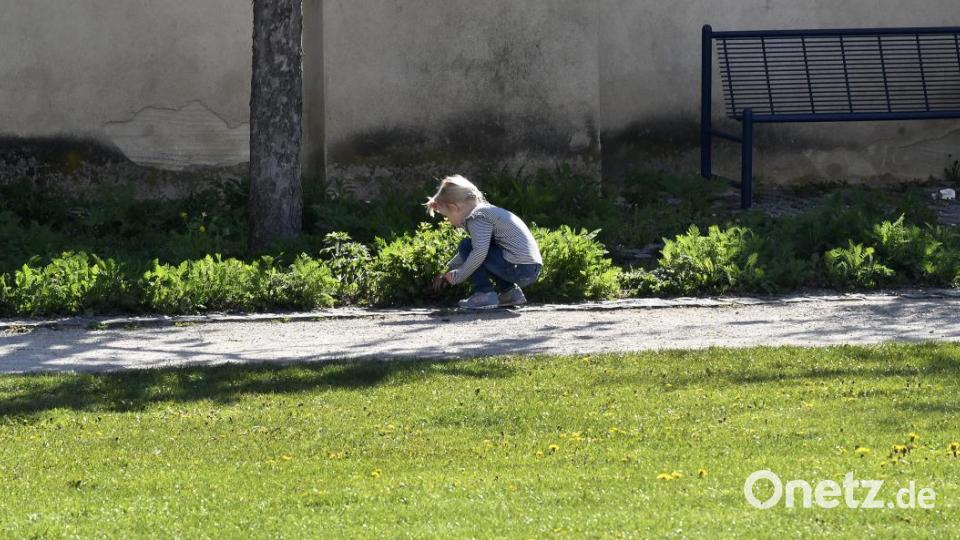 In der Amberger Altstadt waren am Karsamstag 87 Ostereier versteckt. Die Menschen drehten das gesamte Amberger Ei einmal um. Bild: Petra Hartl