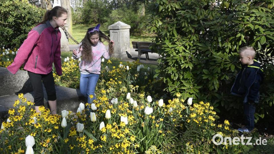 In der Amberger Altstadt waren am Karsamstag 87 Ostereier versteckt. Die Menschen drehten das gesamte Amberger Ei einmal um. Bild: Petra Hartl