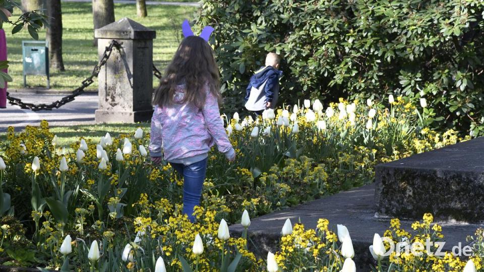 In der Amberger Altstadt waren am Karsamstag 87 Ostereier versteckt. Die Menschen drehten das gesamte Amberger Ei einmal um. Bild: Petra Hartl