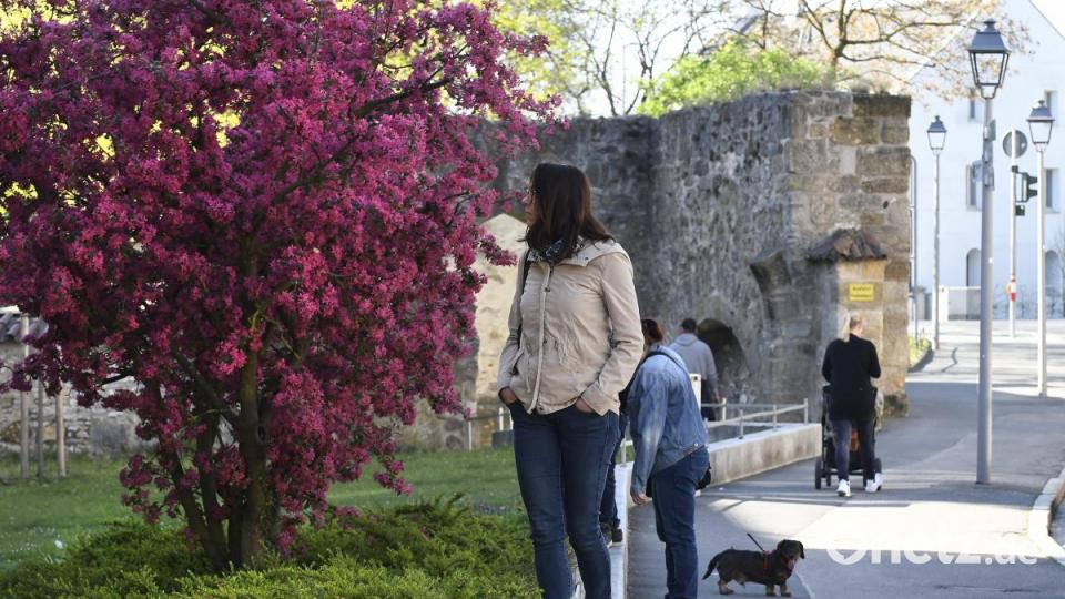 In der Amberger Altstadt waren am Karsamstag 87 Ostereier versteckt. Die Menschen drehten das gesamte Amberger Ei einmal um. Bild: Petra Hartl
