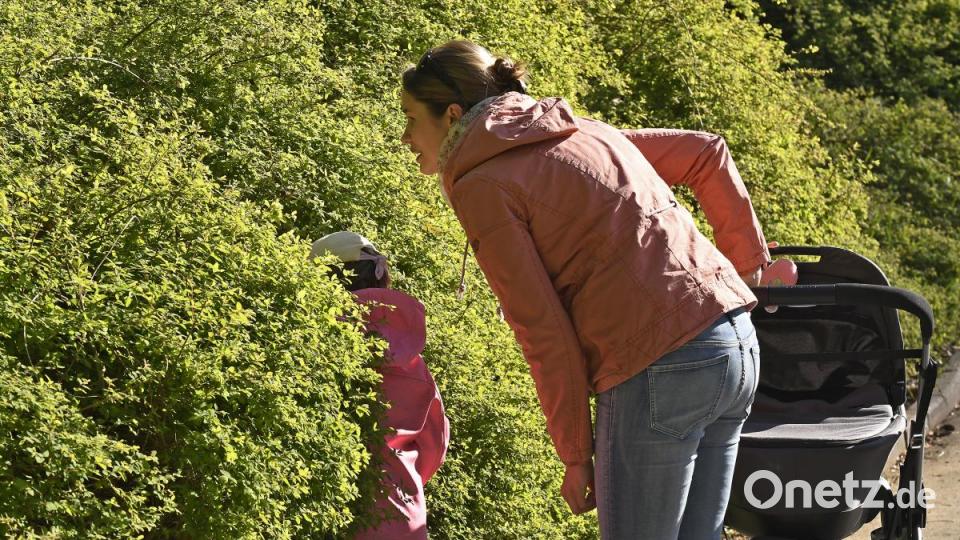 In der Amberger Altstadt waren am Karsamstag 87 Ostereier versteckt. Die Menschen drehten das gesamte Amberger Ei einmal um. Bild: Petra Hartl