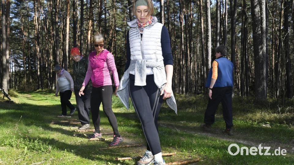 Sportfachleute sprechen von einer „Koordinationsleiter“: Der Bewegungstreff baut sich dieses Sportgerät selbst, aus Zweigen, die er im Wald bei Penkhof findet. Die Teilnehmer üben darauf zum Beispiel das Gehen auf unterschiedlichen Untergründen, laufen Slalom, schulen ihren Gleichgewichtssinn – und haben Spaß dabei. Bild: Petra Hartl