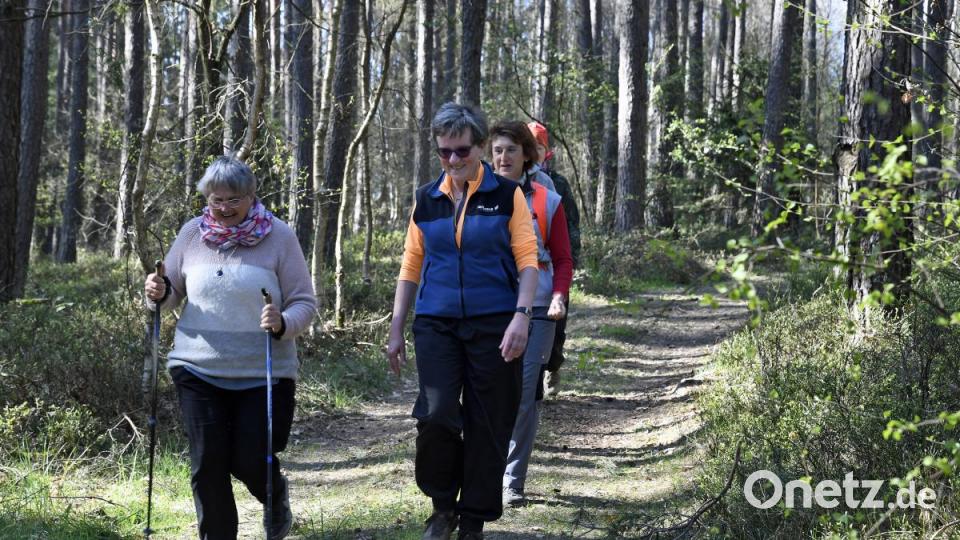 In Penkhof (Kümmersbrucker) gibt es ein neues Programm &quot;Bewegungstreff&quot; mit Übungsleiterin Irene Hirsch: Sie nutzt den Wald als Turnhalle. Bild: Petra Hartl