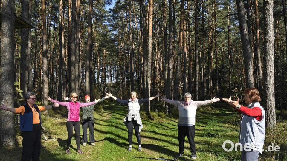 &quot;Waldbaden&quot; ist momentan ein ganz heißer Trend: der Bewegungstreff macht das ganz unspektakulär mit Atemübungen. Bild: Petra Hartl