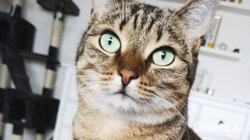 Verliebter Blick: Fine. Bild: Julia Reil