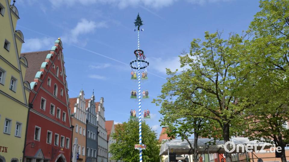 Da steht er: 26,50 Meter hoch ist der Maibaum des Heimatrings vor dem Alten Eichamt. Bild: hcz