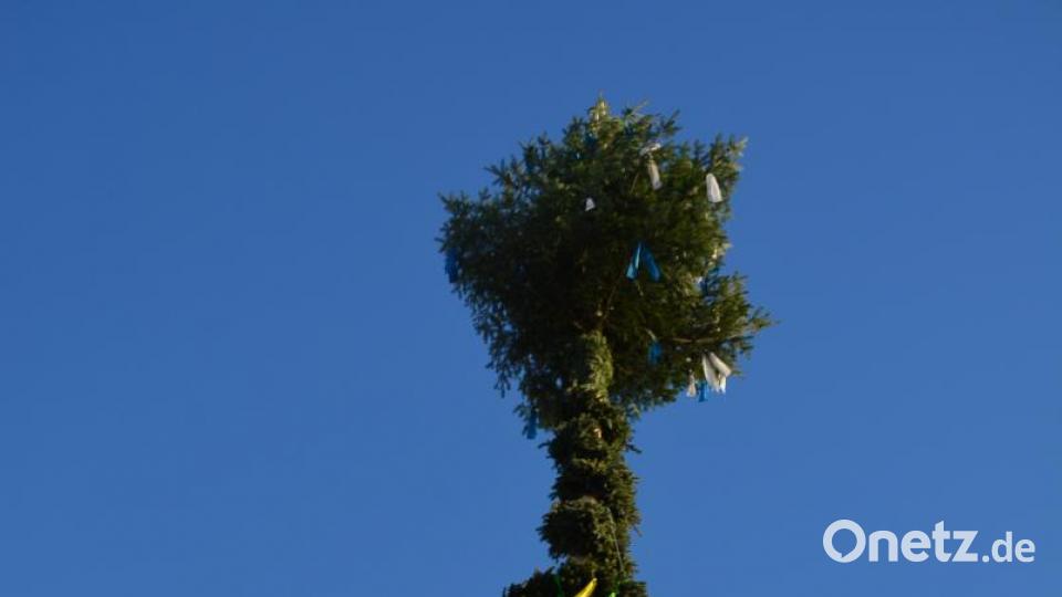 Der Maibaum in all seiner Pracht. Bild: jr