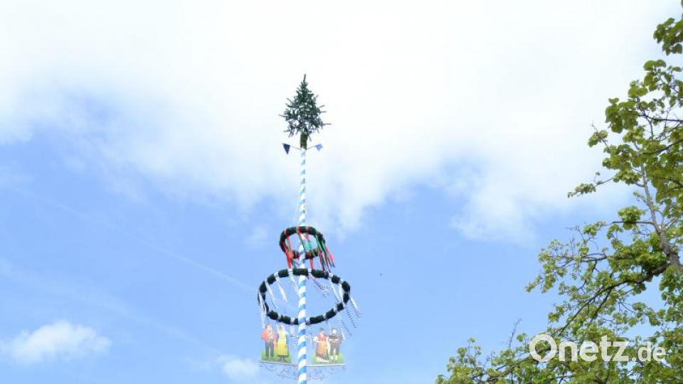 Da steht er: 26,50 Meter hoch ist der Maibaum des Heimatrings vor dem Alten Eichamt. Bild: hcz