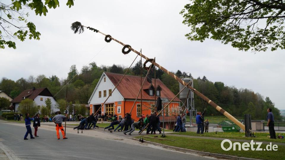 Muskelkraft war gefragt, um den Maibaum am Thansteiner Feuerwehrhaus in die Höhe zu hieven. Bild: rkp