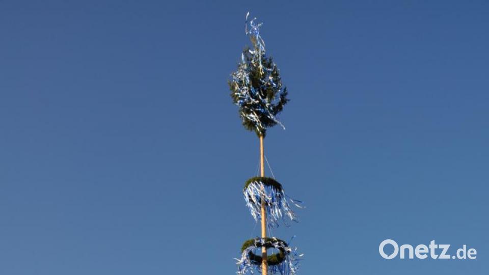 Maibaum Kulmain Bild: ak