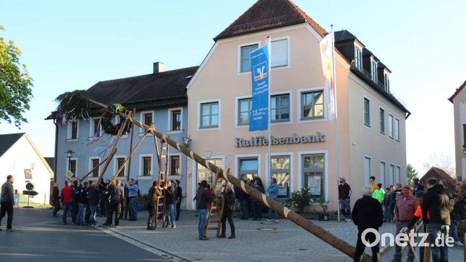 Mit Schwalben schieben die vielen freiwilligen Helfer den Baum in die Höhe. Bild: rpp