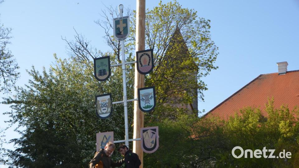 Willi Wiesent und Michael Lehner heften noch schnell die Zunftzeichen an den Maibaum und schon kann die gemeinsame Feier auf dem Dorfplatz beginnen. Bild: dob