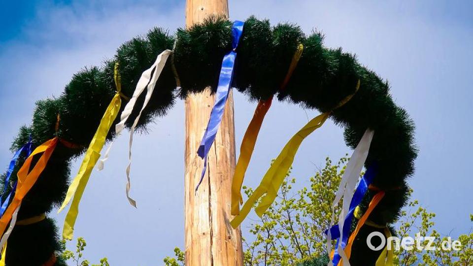 Die Frauenreuther Schützen und der Ortsteil Frauenreuth haben es wieder geschafft. Kräftige Mannsbilder aber auch viele junge Unterstützer, hievten nach altem Brauch den Maibaum mit reiner Muskelkraft in die Höhe. Das 23 Meter lange Frühlingssymbol grüßt in den nächsten vier Wochen vom Dorfanger. Bild: bsc