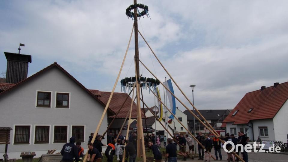 Die Feuerwehrmänner mussten sich mächtig ins Zeug legen, bis der Maibaum die Senkrechte erreichte. Bild: bnr