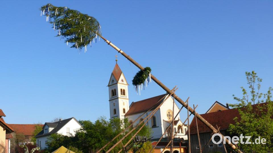 In der Ortsmitte wurde in Unterauerbach der Maibaum aufgestellt Bild: ga