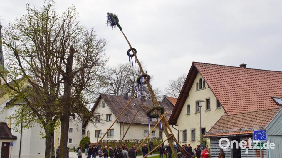 Das Maibaum-Aufstellen in Dietersdorf (Stadt Schönsee) hatte der örtliche Burschenverein organisiert. Bild: mmj