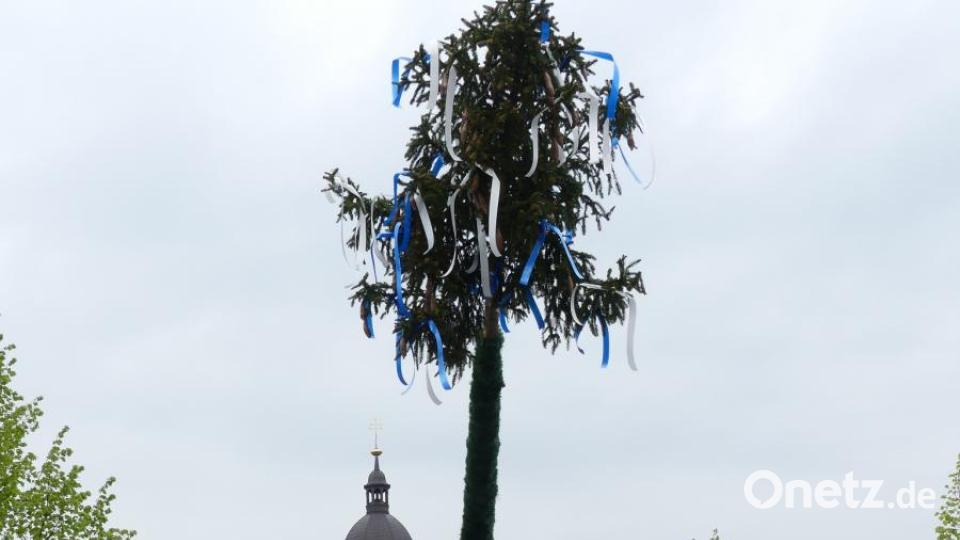 33 Meter hoch ist der Maibaum, der Winklarn schmückt. Bild: bej