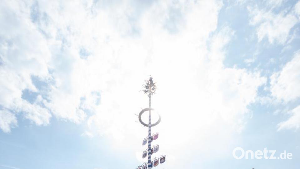 49 Schilde hängen am Neustädter Maibaum. Anders als in den meisten Gemeinden sind darauf nicht die ansässigen Handwerke sondern die Vereine präsentiert. &quot;Aber nur die, die am Bürgerfest teilnehmen&quot;, erklärt Troppmann. Die Einnahmen aus dem Bürgerfest fließen in die Gestaltung des Mai-Vereinsbaumes. Bild: pml