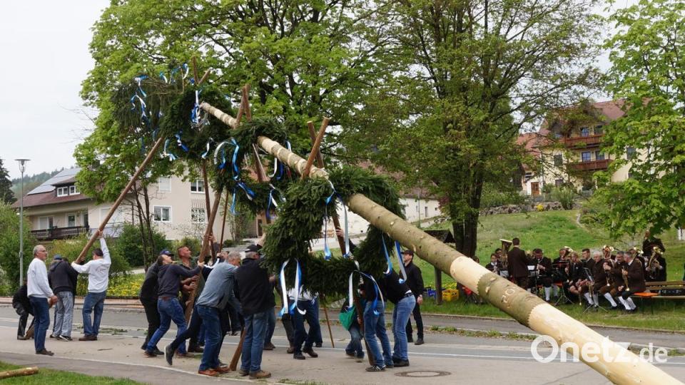 Meter um Meter schieben die Helfer in Bach (Gemeinde Dieterskirchen) den geschmückten Stamm nach oben. Bild: weu