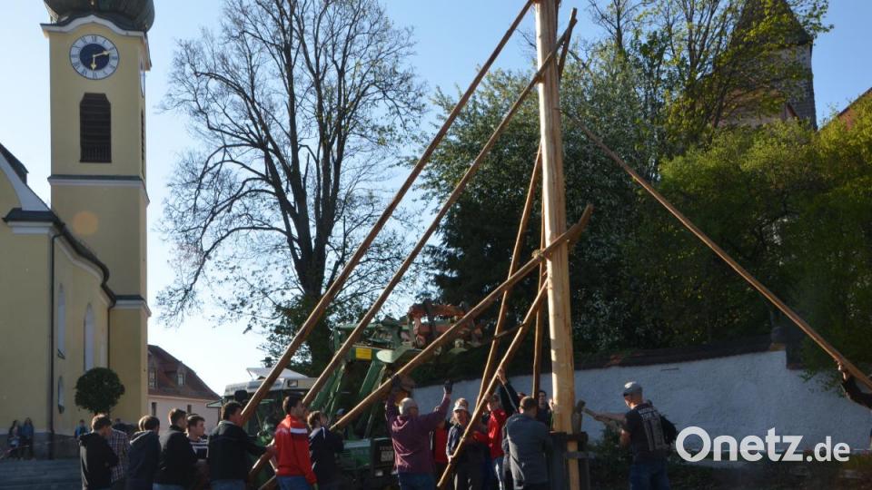 Alle Männer des Dorfes rücken zusammen und bringen den 25 Meter hohen Maibaum in der Dorfmitte mit Schwalben und Muskelkraft in die Senkrechte. Die Glocken der Benefiziumskirchen St. Johannes Nepomuk verkündeten die getane Arbeit. Bild: dob