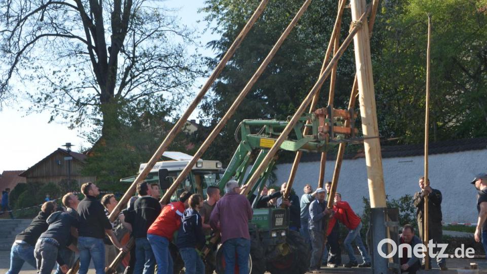 Alle Männer des Dorfes rücken zusammen und bringen den 25 Meter hohen Maibaum in der Dorfmitte mit Schwalben und Muskelkraft in die Senkrechte. Die Glocken der Benefiziumskirchen St. Johannes Nepomuk verkündeten die getane Arbeit. Bild: dob