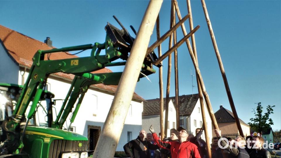 Ein ganzer Stangenwald an Schwalben wird gebraucht, bis der Maibaum steht. Feuerwehr-Kommandant Josef Fischer (vorne) dirigiert die Aktion. Bild: jml
