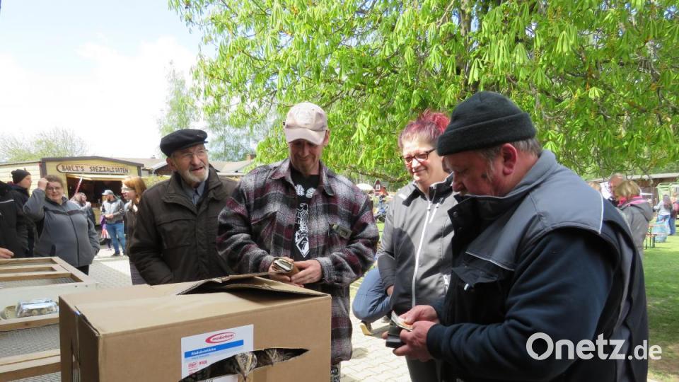 Wachtelzüchter Meindel ist hochzufrieden. Bild: ubb