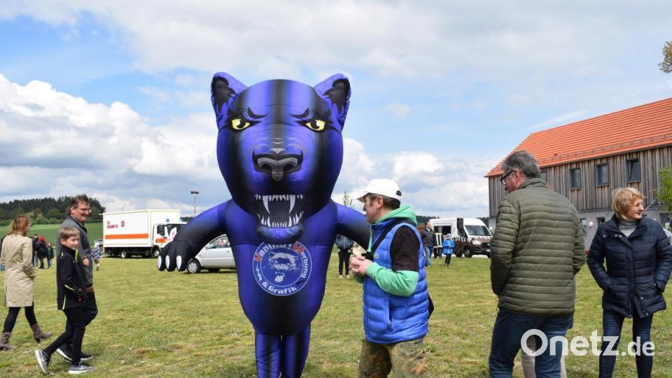 Der Vaninobär war ein gesuchtes Fotomotiv. Bild: bnr