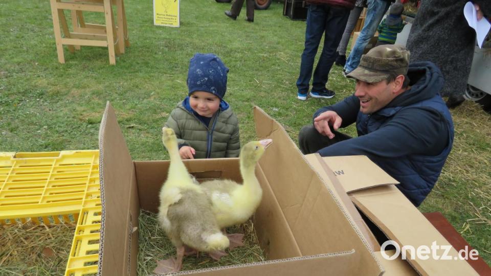 Kleintiermarkt Bild: ubb