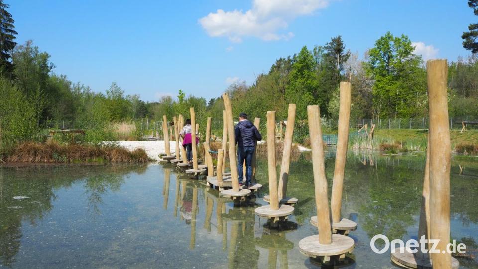 Übers Wasser balancieren: Das probieren im Erlebnispark Wasser-Fisch-Natur Kinder und Erwachsene gerne aus. Bild: bl
