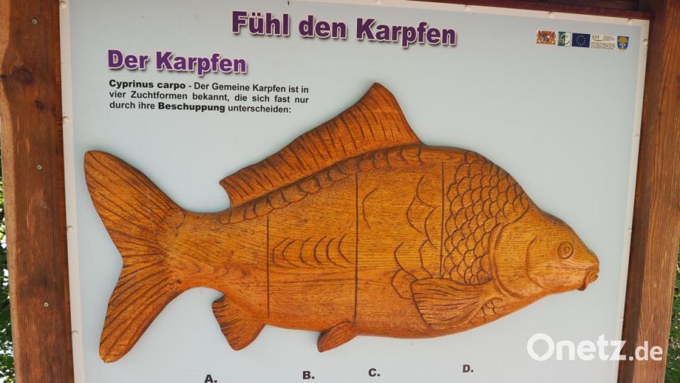Dieser hölzerne Karpfen hat nichts gegeneine Berührung. Bild: bl