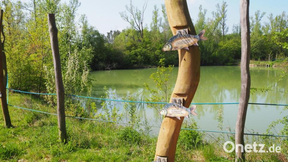 Warum hat ein Karpfen eine Schwimmblase? Antworten auf solche Fragen verbergen sich hinter Schildern zum Aufklappen. Bild: bl